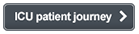 Button reads ICU patient journey