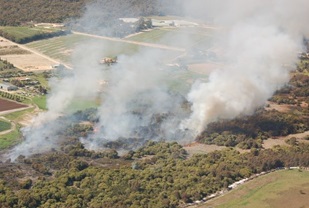 Bush fire smoke